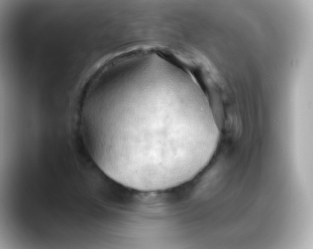 X0000088491352200706051411