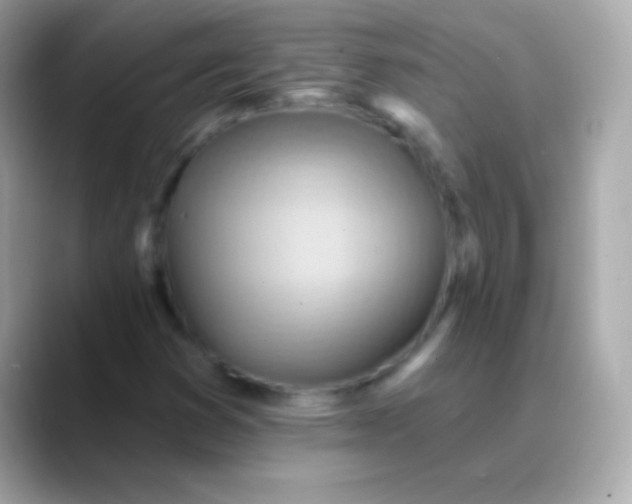 X0000088491353200706051411