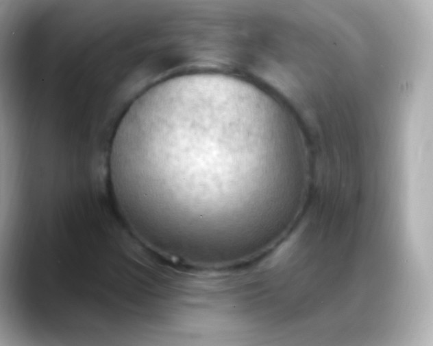X0000088491355200706051411