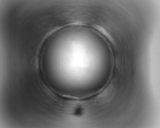 X0000088491356200706051411
