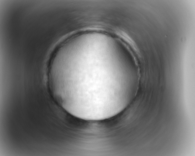 X0000088491360200706051411