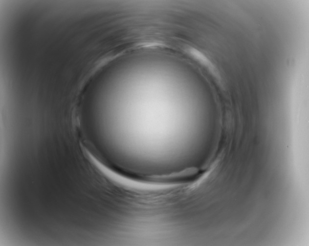 X0000088491361200706051411