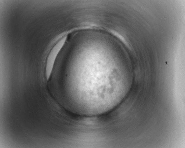 X0000088491363200706051411