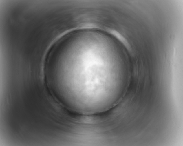 X0000088491364200706051411