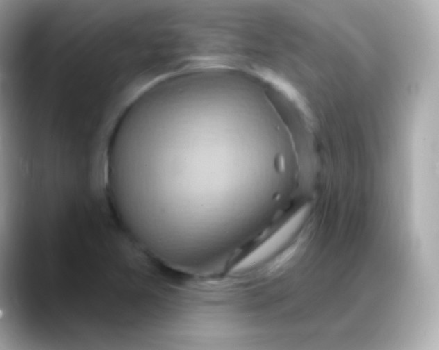 X0000088491365200706051411