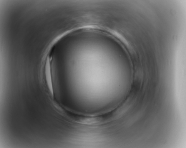 X0000088491367200706051411