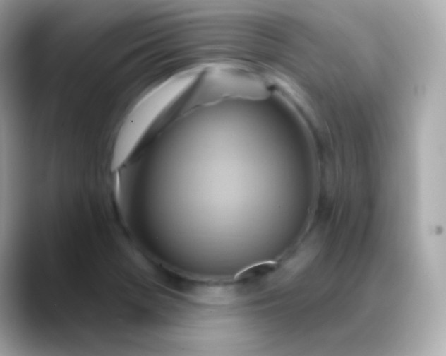 X0000088491369200706051411