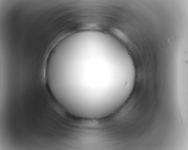 X0000088491370200706051410