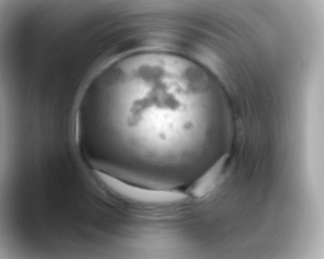 X0000088491371200706051410