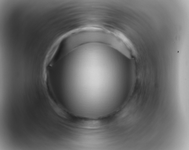 X0000088491372200706051410