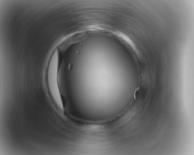 X0000088491373200706051410