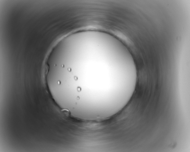 X0000088491374200706051410