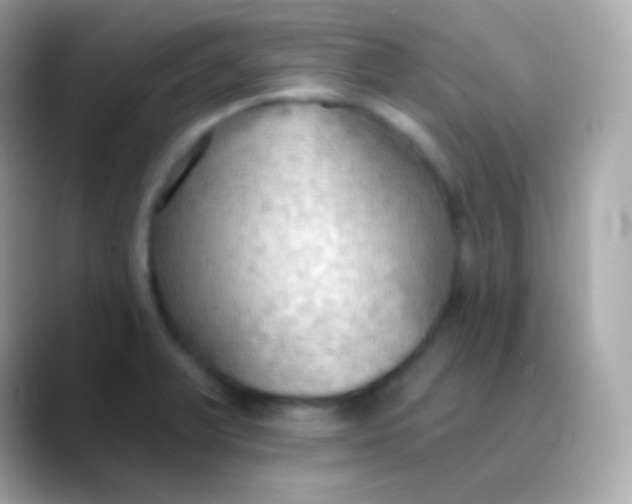 X0000088491375200706051410