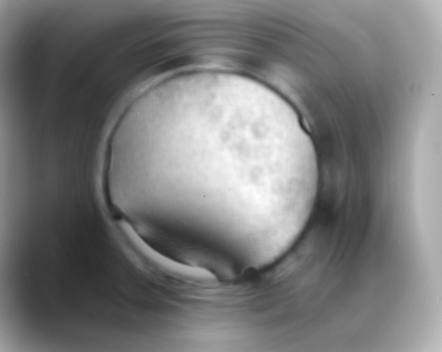 X0000088491379200706051410