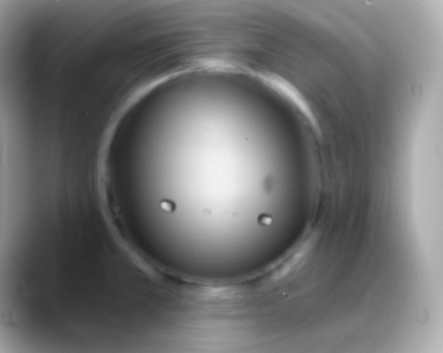 X0000088491381200706051410