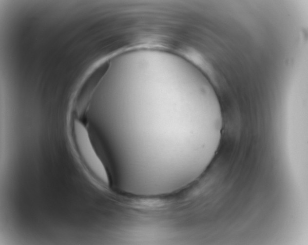 X0000088491383200706051410