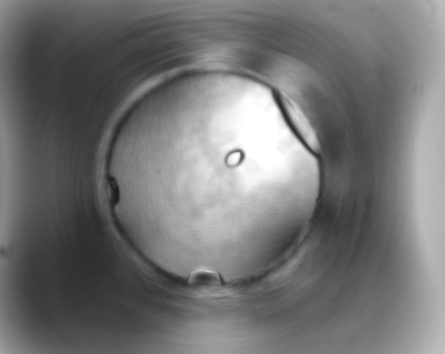 X0000088491384200706051410