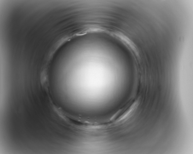 X0000088491385200706051410