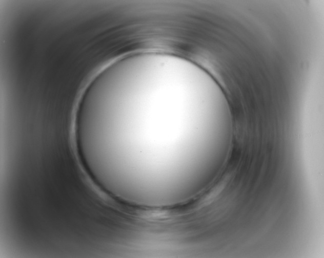 X0000088491387200706051410