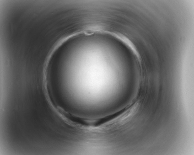 X0000088491389200706051410
