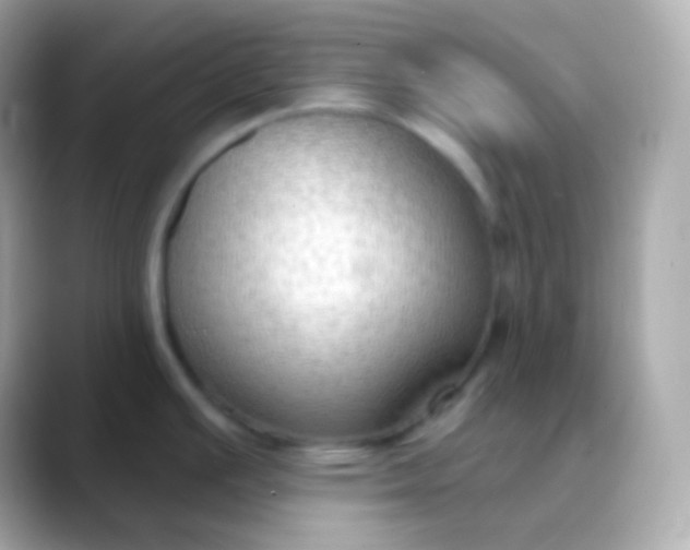 X0000088491391200706051410