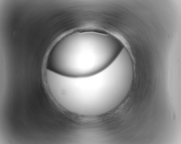 X0000088491392200706051410