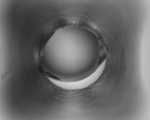 X0000088491394200706051410