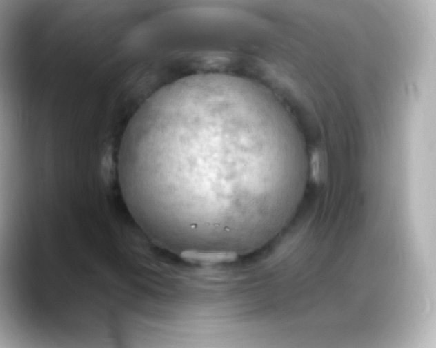 X0000088491395200706051410