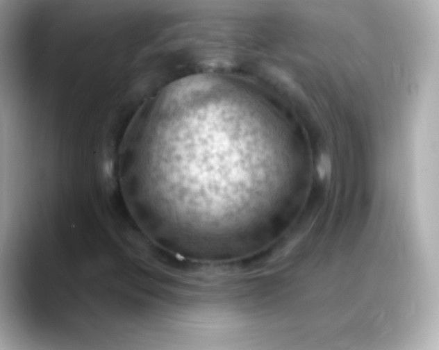 X0000088491396200706051410
