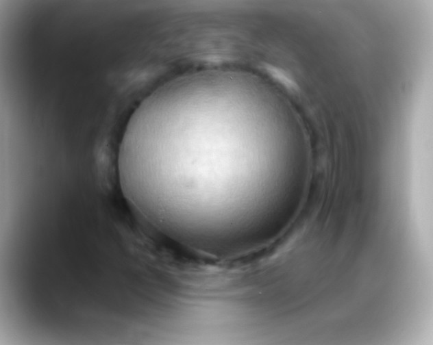 X0000088491398200706051410