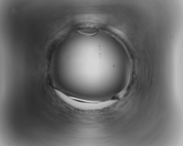 X0000088491399200706051410
