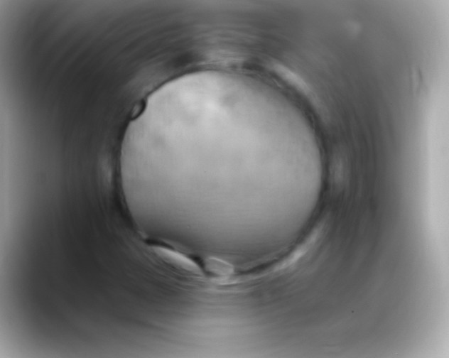 X0000088491401200706051410