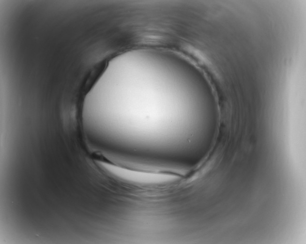 X0000088491402200706051410