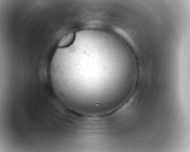 X0000088491403200706051410