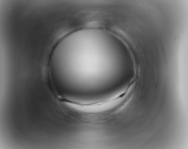 X0000088491405200706051410