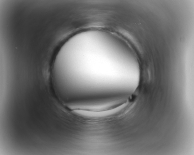 X0000088491406200706051410