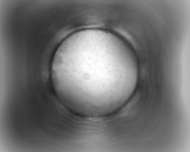 X0000088491407200706051410