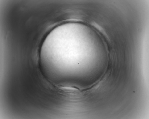 X0000088491408200706051410