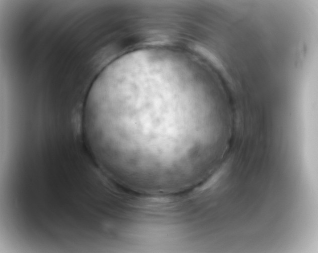 X0000088491409200706051410