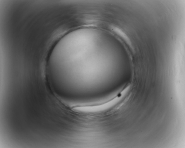 X0000088491411200706051410