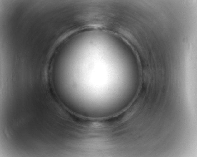 X0000088491412200706051410