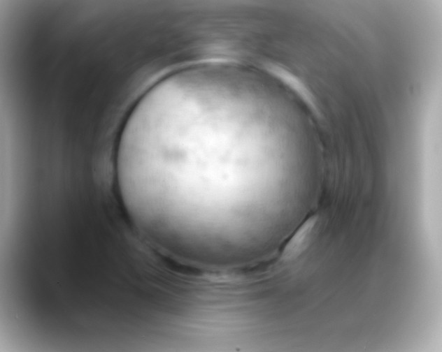 X0000088491415200706051410