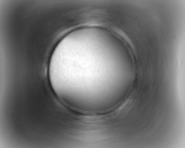 X0000088491416200706051410