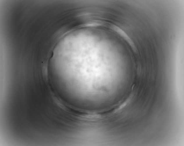 X0000088491417200706051410
