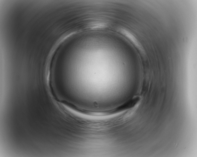 X0000088491418200706051410