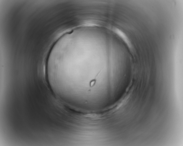 X0000088491419200706051410