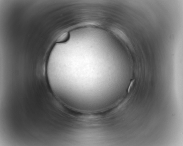 X0000088491420200706051410