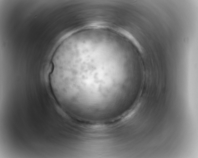 X0000088491421200706051410