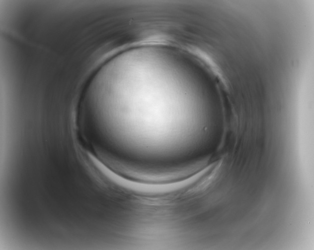 X0000088491422200706051410