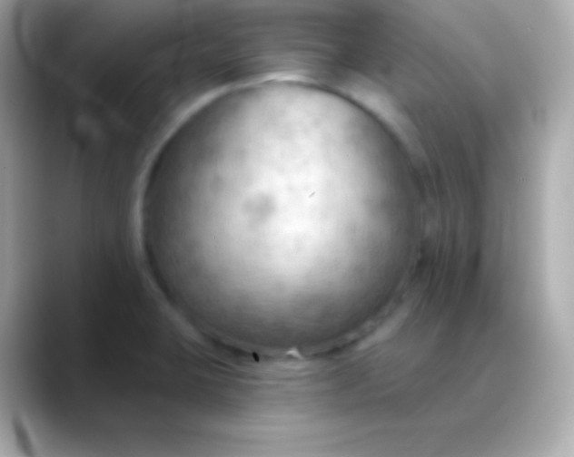 X0000088491423200706051410